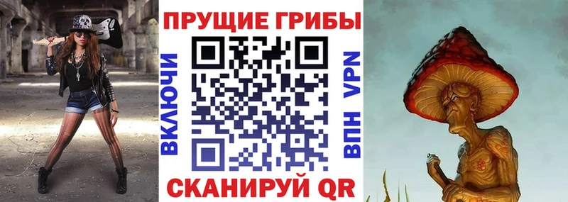 Псилоцибиновые грибы Cubensis  Купить где  Мезень 