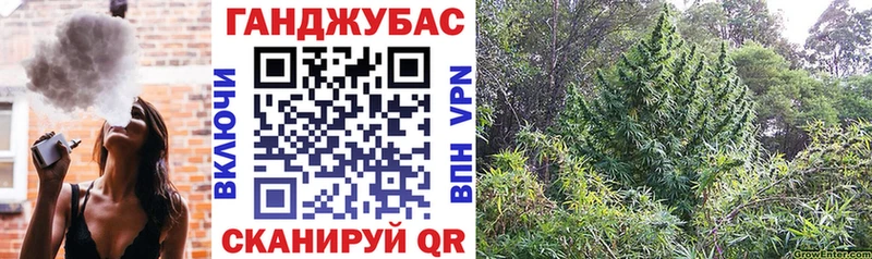 Купить  Мезень  Шишки марихуана марихуана 